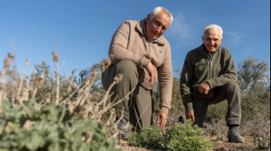 Recibió un campo de 8,4 leguas que «no daba plata», cambió la forma de manejarlo y hoy enfrenta la sequía en el desierto de la Patagonia