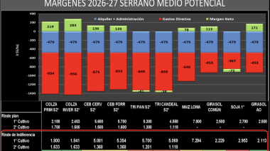 Girasol 2026/27: muy buenos márgenes y claves de manejo para aprovecharlos