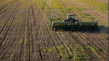 ‘El fin de la siembra de trigo continúa dilatándose’