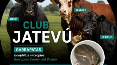 Controlar la garrapata puede sumar hasta 30 kilos de ternero al destete en un año