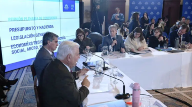 Comenzó en el Senado el debate de un régimen para incentivar inversiones productivas en las economías regionales