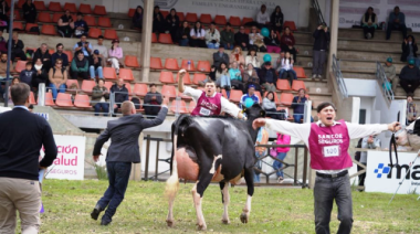 La mirada de un jurado estadounidense sobr las vacas lecheras argentinas