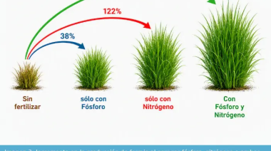 Acortar el invierno: cómo manejar la fertilización para producir más pasto