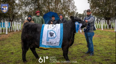 “El nivel de la exposición de Dorrego es muy destacado”