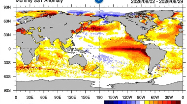 Niño fuerte: La campaña gruesa arranca con mucha agua en el suelo y tormentas en el horizonte