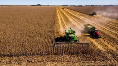 La cosecha récord da impulso la actividad de la cadena agropecuaria