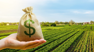 Presupuesto 2027: el sector agropecuario reclamará que los fondos del IVA perdieron más de 90% de su valor