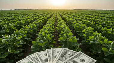 Estiman que El Niño podría incrementar en U$S 4.000 millones el aporte económico de la cosecha argentina