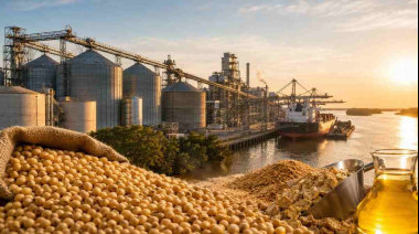 Las exportaciones agroindustriales alcanzaron los USD 36.779 millones en lo que va de 2026, con un incremento interanual del 13,1%
