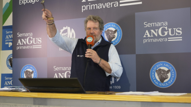 Colombo y Magliano vendió 11.000 cabezas