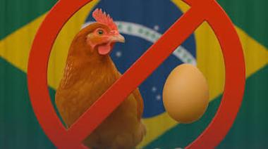 Con la suspensión a Brasil, Argentina puede recuperar terreno en el mercado europeo de carne aviar