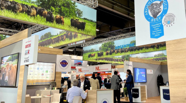 Rumbo a la SIAL de París: La carne Angus Certificada triplica sus exportaciones y va por el mercado asiático