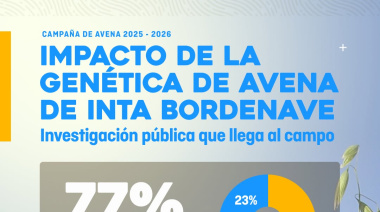 IMPACTO DE LA GENÉTICA DE AVENA DE INTA BORDENAVE 🌱