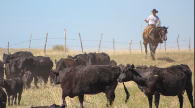 Alfredo Di Costanzo, de la Universidad de Minnesota, y un éxito de EE.UU. ahora bajo presión: productores de 80 años con 500 vacas sin herederos