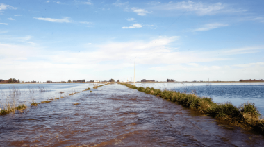 Declaran la emergencia agropecuaria por inundaciones en 2 partidos bonaerenses