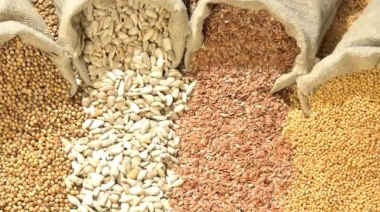 Ley de Semillas: la industria amplió las excepciones al pago por uso propio para acercar posiciones con los productores