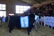 EXPO SAAVEDRA 2024  20 al 22 de Septiembre de 2024  Organiza la Asociación Rural del Pdo. de Saavedra