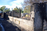 Carlos Casares: Un incendio en un criadero de cerdos, causo la muerte de 160 animales porcinos
