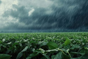Alerta amarilla por fuertes tormentas para la noche y madrugada del domingo