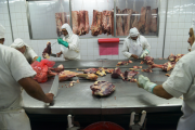 El Gobierno Nacional eliminó la normativa que establecía un peso mínimo de faena para bovinos