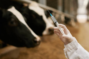 El Gobierno anunció la autorización de importación de productos veterinarios de países con ‘estándares equivalentes’