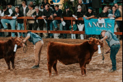 82° Semana Angus de Otoño Indoor