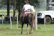 Día del Trabajador en Argentina: cuando el campo no se detiene