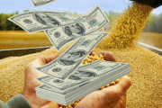 Ingreso de divisas por exportaciones: el campo ya liquidó más de 11 mil millones de dólares