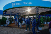 Récord histórico del Banco Nación en financiamiento para el sector agroindustrial por 6.500 millones de dólares