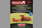 REMATES 🐂