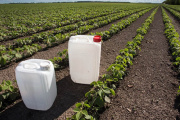 Cambios claves en el uso y control de productos fitosanitarios en Argentina