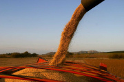 Suben las retenciones y crece el malestar en el campo: el Gobierno tensa su vínculo con el agro