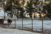 Nevadas atípicas y temperaturas extremas se registraron en zonas productivas del país