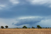 Presentaron el último informe acerca de las probabilidades de El Niño o La Niña