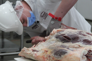 Brasil, en medio de la “guerra” de aranceles: ¿una oportunidad para la carne argentina?