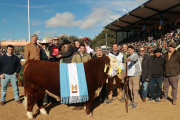 Don Benjamín se llevó el Gran Campeón Macho Hereford en Palermo 2025