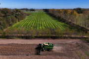 El campo podría aportar casi 29 mil millones de dólares más en los próximos 10 años