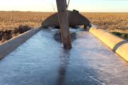 Presentan un bebedero que evita que se congele el agua