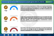 El sorgo, otro exponente de una cosecha que termina mejor de lo esperado