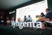 En la Argentina ya hay 70.000 hectáreas con tres cultivos que sirven para hacer energía