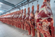 Exportaciones: la Argentina ya le vendió al mundo por US$39.741 millones y consolidó un liderazgo en cuatro grandes productos