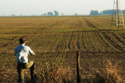 Cultivar la tierra en Argentina, un negocio de “terceros”: el 70% se hace en campos alquilados