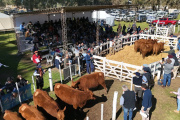 El 50° aniversario llego en un contexto inmejorable para los criadores de Angus colorado de Huanguelén