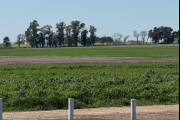 Tiene 20.000 hectáreas: una empresa italiana marcó un hito productivo en una región argentina