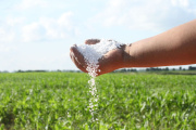 Los fertilizantes siguieron reflejando una corrección bajista impulsada por una demanda global