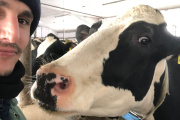 AgroExportados: Luego de trabajar en distintos tambos del mundo, el veterinario Lucio Cámpora se anima a decir que “las vacas son un fórmula 1