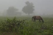 Este fin de semana regresan las precipitaciones con algunas tormentas intensas