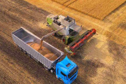 Alivio para el agro: flexibilizaron reglas para productores y exportadores
