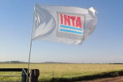 Inta: El Gobierno designó el nuevo Consejo Directivo para la gobernanza del organismo