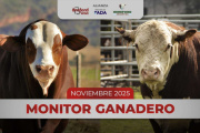Monitor Ganadero - Noviembre 2025